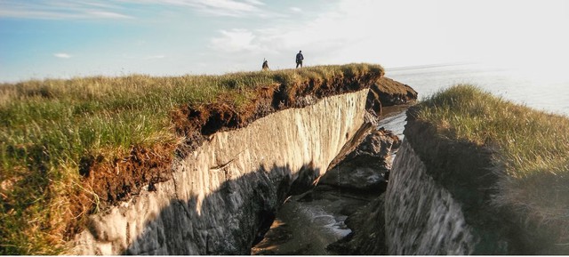 Đem sinh vật cổ đại trong hầm qu&acirc;n sự s&acirc;u 100m dưới đất về, chuy&ecirc;n gia hoang mang: 'Ch&uacute;ng đang sống lại'- Ảnh 3.