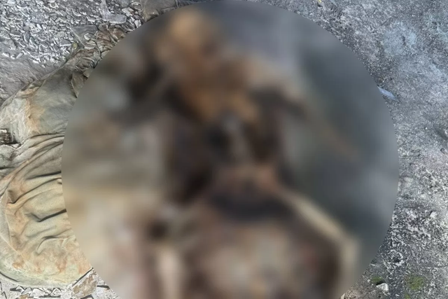 Mất điện thoại, đến khi tìm được, người đàn ông bủn rủn khi thấy có ảnh bộ xương người lạ bên trong- Ảnh 1.