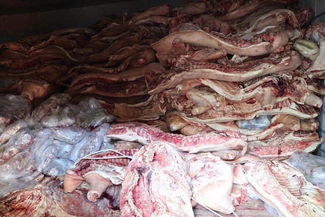 Bắt giam Phan Văn Ph&ograve;ng- Ảnh 2.