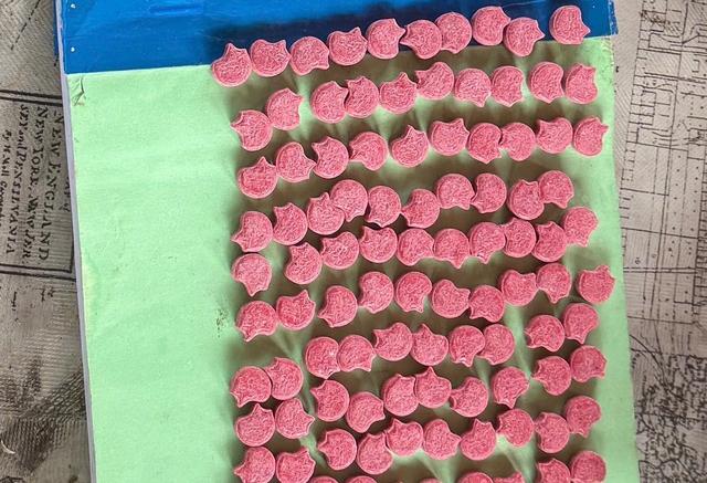 Cảnh sát bất ngờ khám xét một homestay, phát hiện Cảnh sát bất ngờ khám xét một homestay, phát hiện