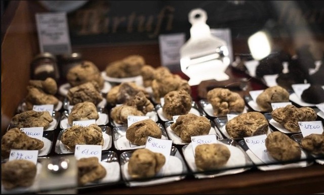 Đặc sản tiền tỷ thế giới, Việt Nam cũng có phiên bản bản địa thơm nồng, giá chỉ bằng khoảng 1/10.000- Ảnh 2.