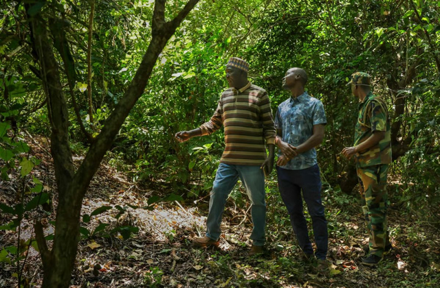 Phát hiện kho báu đất hiếm trị giá 62,4 tỷ USD nằm la liệt dưới cánh rừng 157 hecta﻿, Mỹ và Trung Quốc đồng loạt lên dây cót, chạy đua giành phần thắng- Ảnh 2.