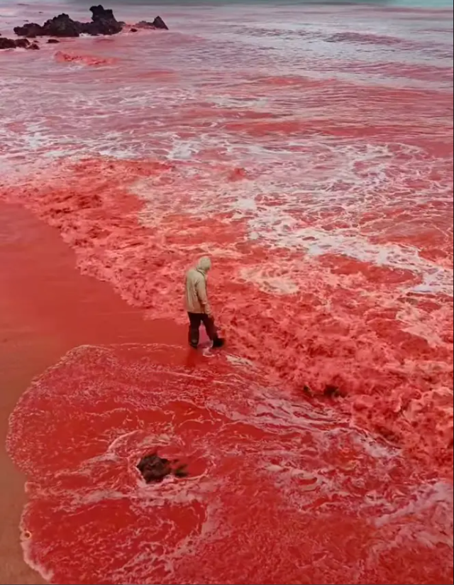 Sau trận mưa kỳ lạ, bãi biển bất ngờ nhuộm đỏ như máu, cơ quan lữ hành nói: Liên quan tới tên gọi nơi này- Ảnh 4. Sau trận mưa kỳ lạ, bãi biển bất ngờ nhuộm đỏ như máu, cơ quan lữ hành nói: Liên quan tới tên gọi nơi này- Ảnh 4.