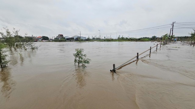 Lượng mưa tại tỉnh miền Trung lên tới 1.600mm, vượt mọi kỷ lục và chưa từng ghi nhận tại Việt Nam- Ảnh 2.