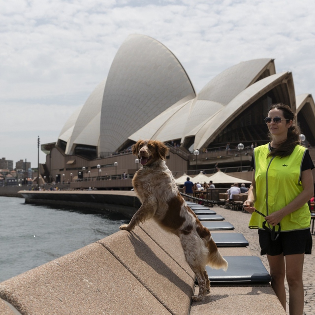 Khách Tây làm 1 việc "khó hiểu" trên đường phố Úc: Nguyên nhân đến từ thứ không ai ngờ tới- Ảnh 6. Khách Tây làm 1 việc "khó hiểu" trên đường phố Úc: Nguyên nhân đến từ thứ không ai ngờ tới- Ảnh 6.