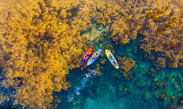 Sánh vai cùng Brazil và Mexico, đại diện duy nhất của Việt Nam lọt top điểm đến hàng đầu thế giới 2026- Ảnh 4. Sánh vai cùng Brazil và Mexico, đại diện duy nhất của Việt Nam lọt top điểm đến hàng đầu thế giới 2026- Ảnh 4.
