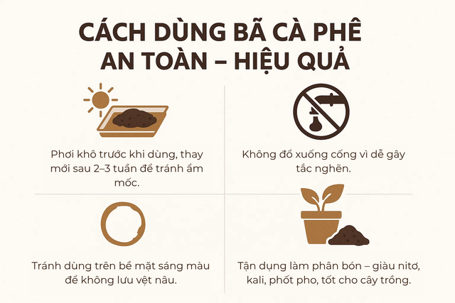Loại bã đồ uống ai cũng bỏ đi lại là "bảo bối" của chuyên gia: Đặt 1 nắm vào góc nhà sẽ thấy thay đổi ngay- Ảnh 6.