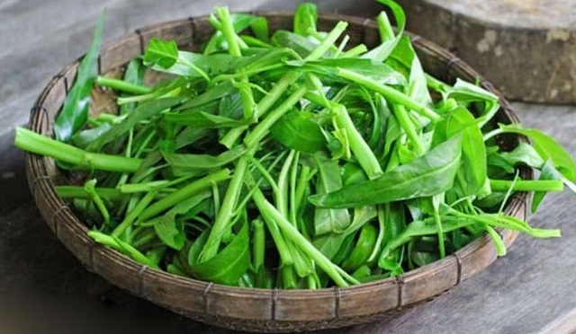 Món Việt lên đài Hàn Quốc, quen thuộc trong mâm cơm, du khách nhận xét: "Kim chi của Đông Nam Á!"- Ảnh 3.