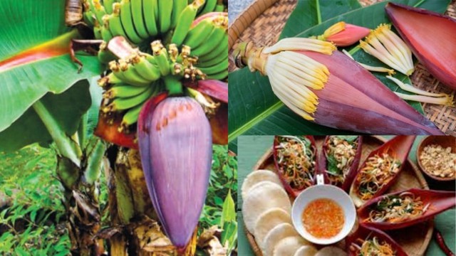 Món Việt lên đài Hàn Quốc, quen thuộc trong mâm cơm, du khách nhận xét: "Kim chi của Đông Nam Á!"- Ảnh 5.