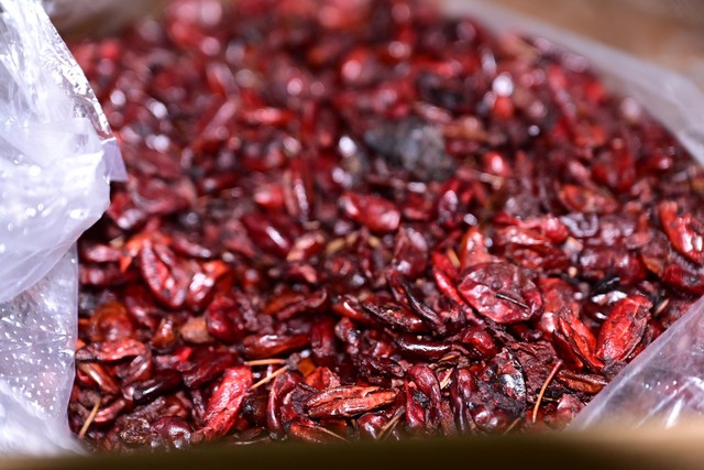 Bắt Nguyễn Thị Hồng Yến- Ảnh 3.