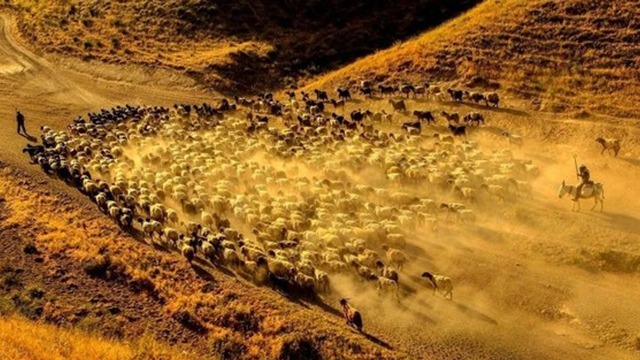 Nghề "hái ra tiền" không cần bằng cấp, làm một tháng đủ tiêu cả năm- Ảnh 2.