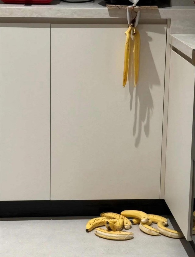 Nửa đêm thấy chồng lục đục trong bếp: Sáng dậy người vợ ''dở khóc dở cười'' trước cảnh này- Ảnh 1. Nửa đêm thấy chồng lục đục trong bếp: Sáng dậy người vợ ''dở khóc dở cười'' trước cảnh này- Ảnh 1.