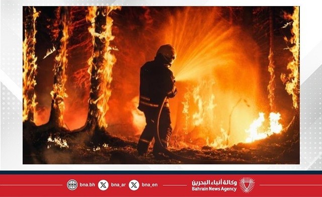 Nhật Bản: Cháy lớn chưa từng có trong 50 năm, thiêu rụi 170 ngôi nhà- Ảnh 4.