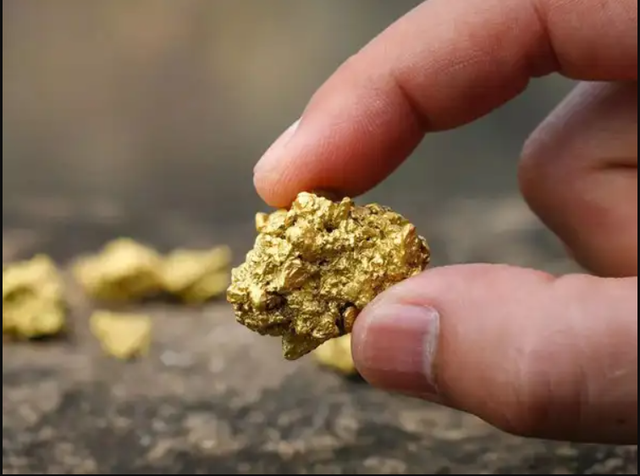 Ph&aacute;t hiện 150 tấn v&agrave;ng trị gi&aacute; hơn 120.000 tỷ đồng, cảnh s&aacute;t lập tức phong tỏa khu vườn của một n&ocirc;ng d&acirc;n- Ảnh 3.