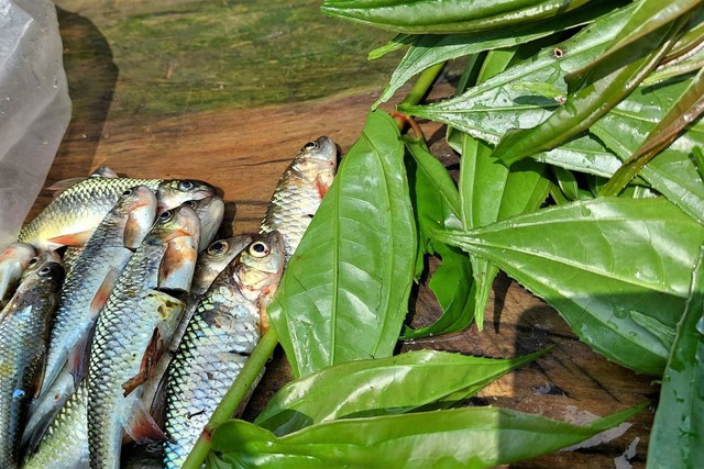 Nghệ An có một loài cá được gọi là "lộc suối" cả làng cùng canh giữ, lắp camera giám sát 24/24h- Ảnh 1.