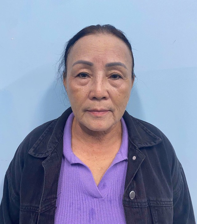Bắt giữ cụ bà Phan Thị Thu Hiền- Ảnh 2.