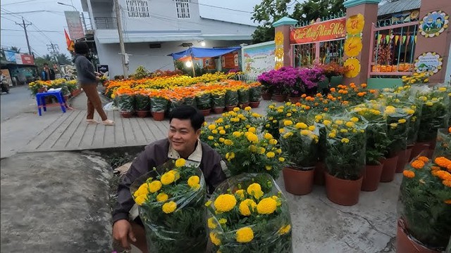 Loại cây ngăn rắn vào nhà, dễ trồng, dễ chăm: Nhiều chợ đang sẵn, càng gần Tết càng đắt - Ảnh 3.