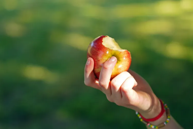 Mỗi ngày ăn 1 quả táo, cơ thể có thể nhận về 6 thay đổi bất ngờ- Ảnh 1. Mỗi ngày ăn 1 quả táo, cơ thể có thể nhận về 6 thay đổi bất ngờ- Ảnh 1.