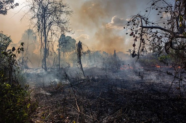 15 thảm họa thiên nhiên kinh hoàng tưởng như chỉ có trong phim- Ảnh 7. 15 thảm họa thiên nhiên kinh hoàng tưởng như chỉ có trong phim- Ảnh 7.