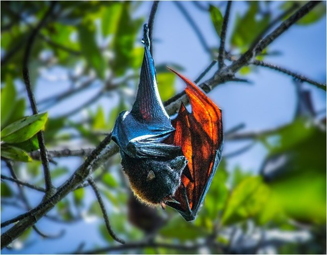 TP. Hồ Chí Minh dự kiến chi 1,6 tỷ/ngày để làm một việc quan trọng- Ảnh 2.