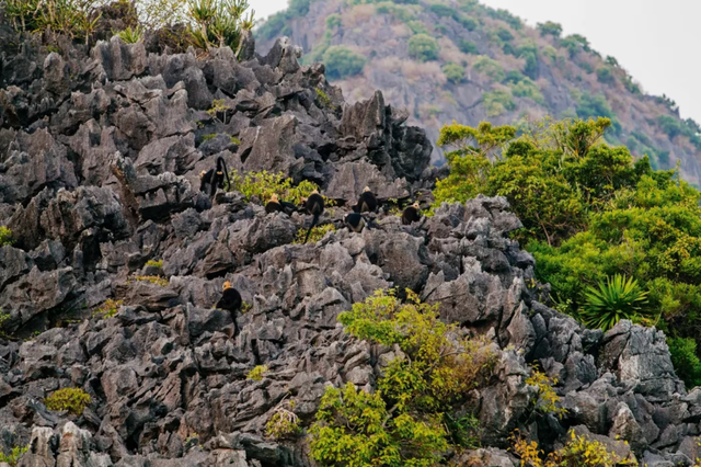 Đại diện duy nhất của Việt Nam bất ngờ được tạp chí Mỹ xếp hạng top 8 hòn đảo đẹp nhất khu vực- Ảnh 3. Đại diện duy nhất của Việt Nam bất ngờ được tạp chí Mỹ xếp hạng top 8 hòn đảo đẹp nhất khu vực- Ảnh 3.