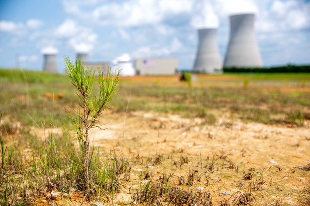Bên trong "lãnh địa" sản xuất năng lượng hạt nhân không carbon lớn nhất Mỹ- Ảnh 7.