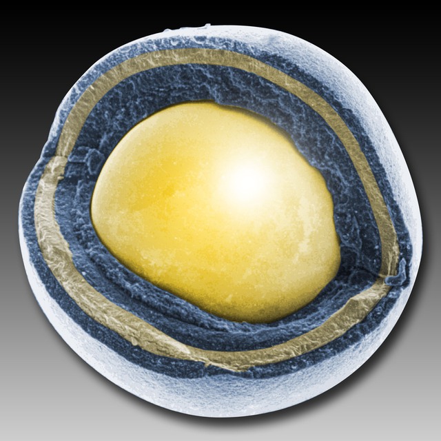 Tin n&oacute;ng về "nhi&ecirc;n liệu hạt nh&acirc;n mạnh nhất Tr&aacute;i đất" c&oacute; thể l&agrave;m chao đảo giới nguy&ecirc;n tử to&agrave;n cầu- Ảnh 5.