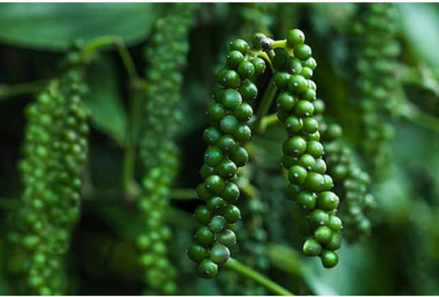 6 "kho báu" xuất khẩu mang về 10,8 triệu tỷ đồng cho Việt Nam; Tiến thẳng vào Top 15 của thế giới - Ảnh 1.