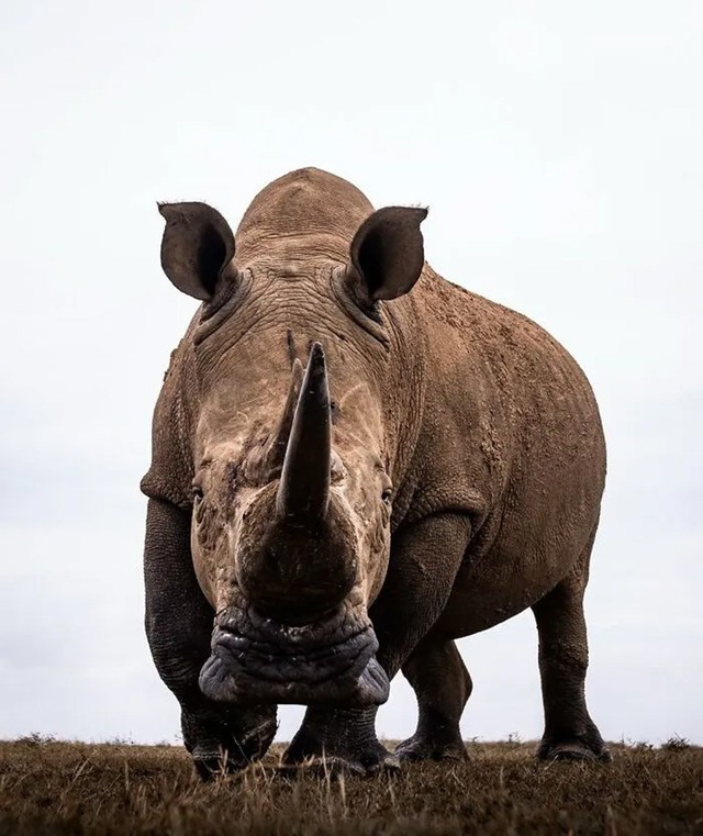 Khoảnh khắc kỳ diệu nhiếp ảnh gia bắt trọn vẻ đẹp hoang d&atilde; - Ảnh 23.