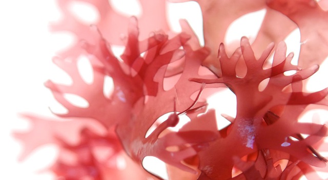 Phát minh "đánh thẳng vào điểm yếu lớn nhất của nhựa đường" đang rung chuyển ngành cầu đường toàn cầu - Ảnh 3.