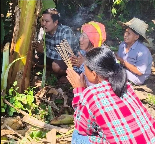 Cây chuối trong làng bỗng xuất hiện hiện tượng lạ, người dân xôn xao "chưa từng thấy bao giờ" - Ảnh 3.