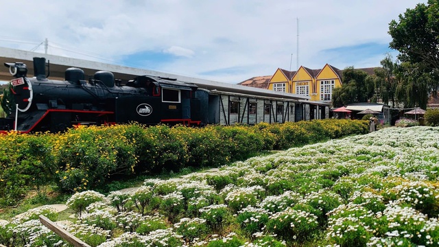 Chuyến tàu mới nhất của đường sắt Việt Nam: Khai trương được 5 ngày, giá vé chỉ hơn 100.000 đồng - Ảnh 3.