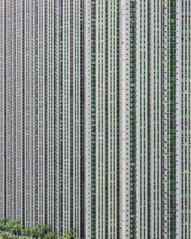 Bức ảnh chụp chung cư ở Hong Kong lúc này được nhiều người quan tâm - Ảnh 1.