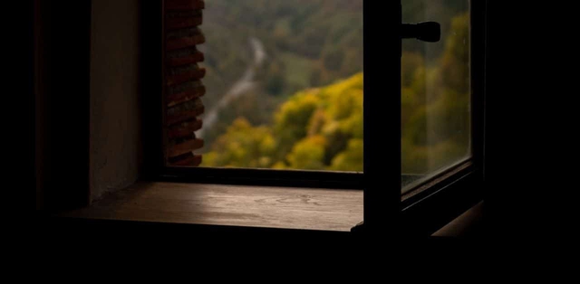 Đang ngồi trong phòng ngủ thì thấy bạn của bố trèo lên cửa sổ, cô gái hoảng loạn với diễn biến tiếp theo - Ảnh 1.