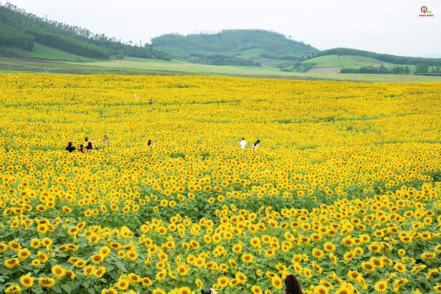 Nơi được quan tâm nhất lúc này ở Nghệ An: Cảnh như nước ngoài, mở cửa miễn phí nhưng có lưu ý đặc biệt - Ảnh 1.