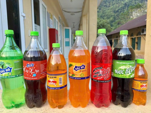 Thi hành lệnh bắt tạm giam chủ công ty nước giải khát Nguyễn Ngọc Sơn - Ảnh 2.