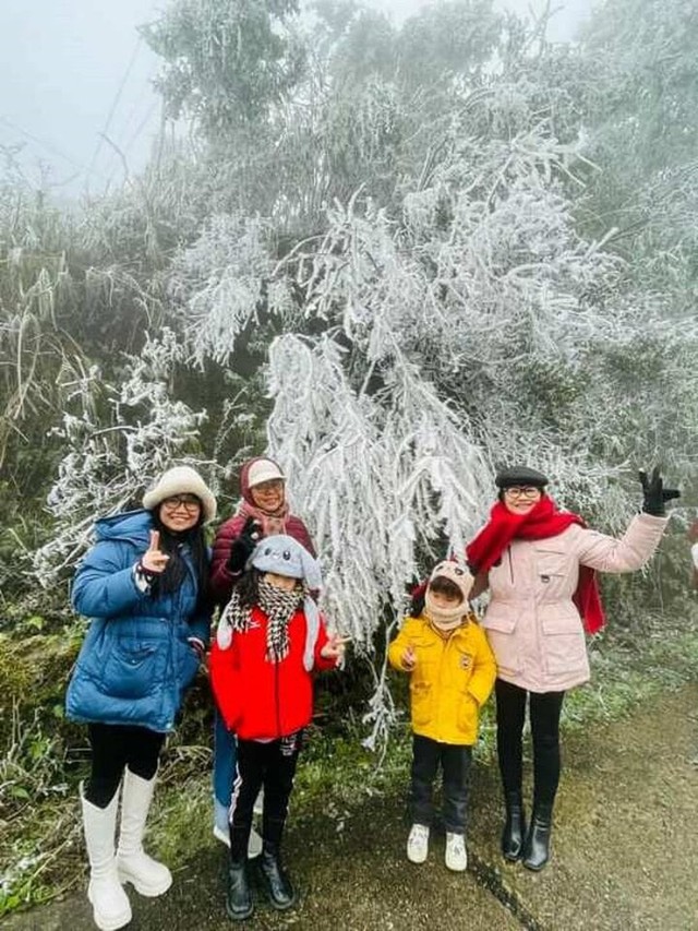 Ngoài Fansipan, đây là nơi lạnh không kém ở miền Bắc hôm nay: Cũng là núi, nhiều năm có băng giá, tuyết - Ảnh 13.