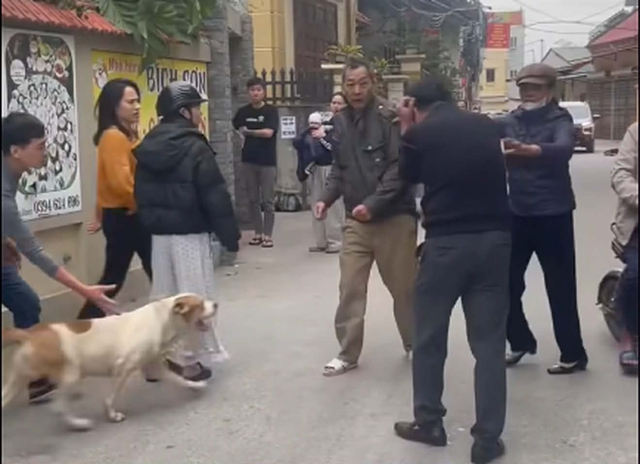 Vụ thả ch&oacute; cắn người ở H&agrave; Nội: Mối quan hệ giữa 2 b&ecirc;n - Ảnh 1.