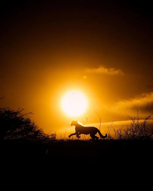 Bộ ảnh ho&agrave;ng h&ocirc;n h&eacute; lộ vẻ đẹp b&iacute; ẩn của thế giới hoang d&atilde; - Ảnh 11.