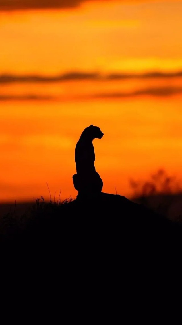 Bộ ảnh ho&agrave;ng h&ocirc;n h&eacute; lộ vẻ đẹp b&iacute; ẩn của thế giới hoang d&atilde; - Ảnh 13.