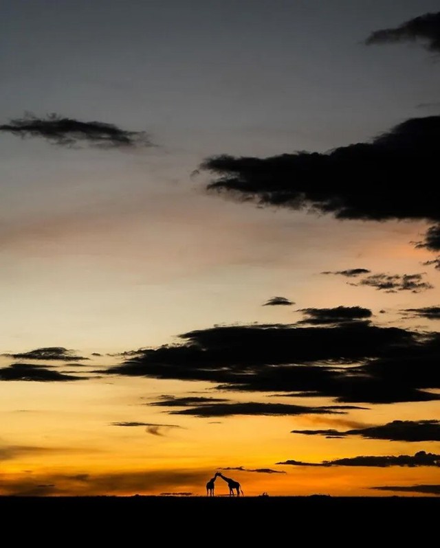 Bộ ảnh ho&agrave;ng h&ocirc;n h&eacute; lộ vẻ đẹp b&iacute; ẩn của thế giới hoang d&atilde; - Ảnh 21.