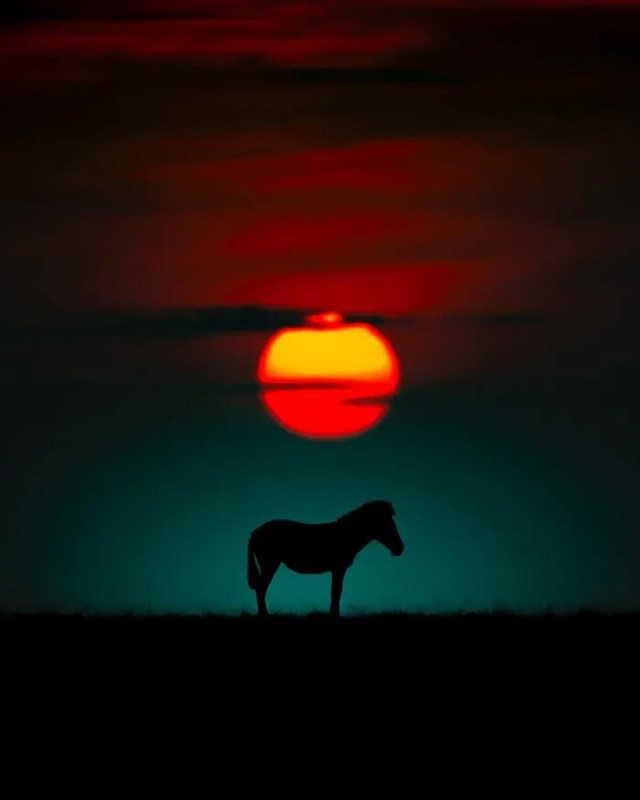 Bộ ảnh ho&agrave;ng h&ocirc;n h&eacute; lộ vẻ đẹp b&iacute; ẩn của thế giới hoang d&atilde; - Ảnh 26.