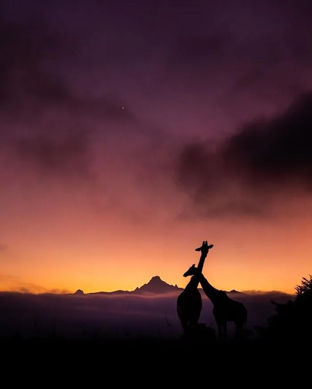 Bộ ảnh ho&agrave;ng h&ocirc;n h&eacute; lộ vẻ đẹp b&iacute; ẩn của thế giới hoang d&atilde; - Ảnh 3.