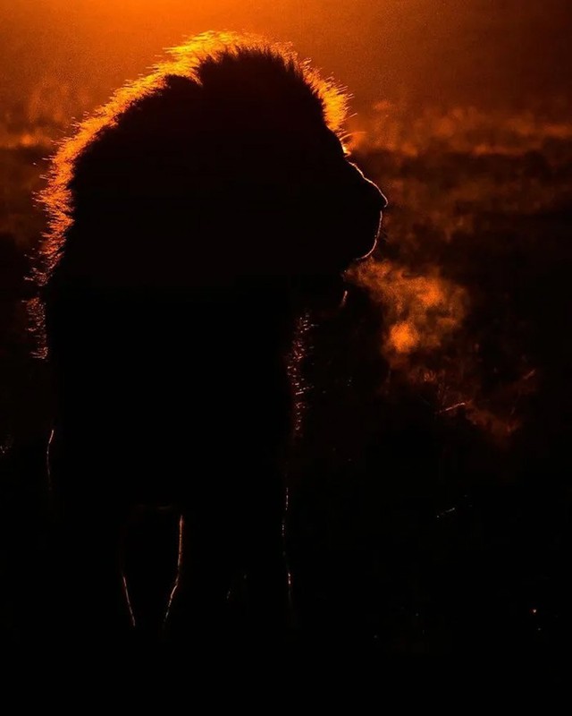 Bộ ảnh ho&agrave;ng h&ocirc;n h&eacute; lộ vẻ đẹp b&iacute; ẩn của thế giới hoang d&atilde; - Ảnh 5.