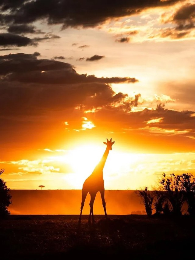 Bộ ảnh ho&agrave;ng h&ocirc;n h&eacute; lộ vẻ đẹp b&iacute; ẩn của thế giới hoang d&atilde; - Ảnh 9.