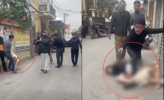 Vụ thả ch&oacute; cắn người ở H&agrave; Nội: Mối quan hệ giữa 2 b&ecirc;n - Ảnh 2.