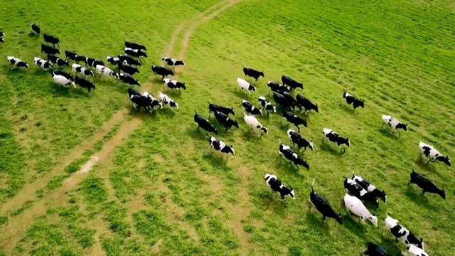 Vị cựu Bộ trưởng n&oacute;i về DN "th&aacute;ch thức" l&yacute; thuyết trời T&acirc;y v&agrave; kỳ t&iacute;ch "Việt Nam xuất khẩu bằng cả ch&acirc;u Phi" - Ảnh 4.