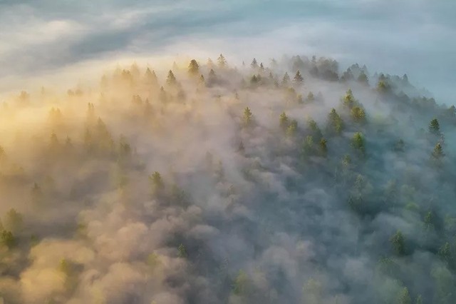 Kỳ quan thi&ecirc;n nhi&ecirc;n qua 15 khoảnh khắc hiếm c&oacute; - Ảnh 2.