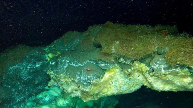 Phát hiện "viết lại sách giáo khoa" dưới đáy biển Greenland - Ảnh 1.