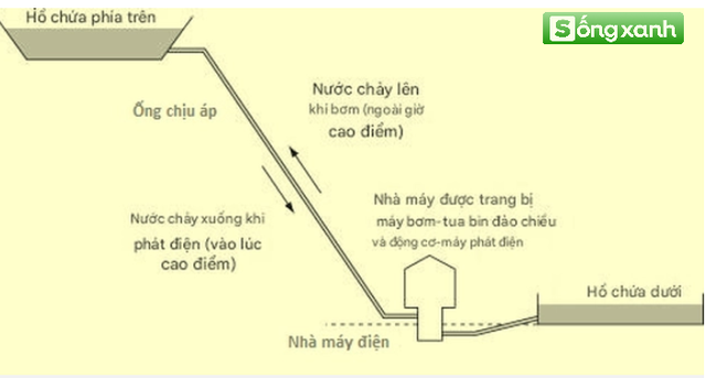 Có gì đặc biệt ở Nhà máy thủy điện tích năng Bác Ái  21.100 tỷ "độc nhất", quan hệ mật thiết với nhà máy điện hạt nhân Ninh Thuận? - Ảnh 2.